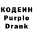 Codein Purple Drank Galina Prelovskaia