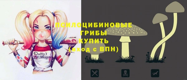 ешки Абаза
