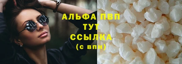 альфа пвп Новодвинск
