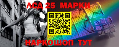 индика Кандалакша