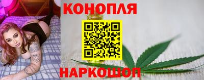 индика Кандалакша