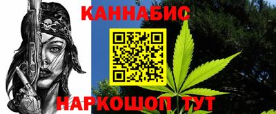 индика Кандалакша