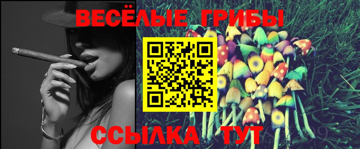 Шарыпово  Псилоцибиновые грибы Cubensis  Вход с VPN  закладки  Псилоцибиновые грибы ЛСД 